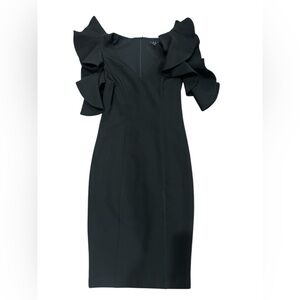 Elegant Black Ruffle Sleeve Dress